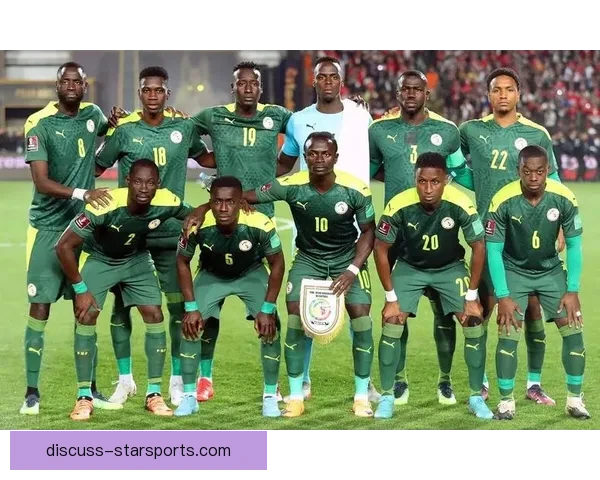 塞内加尔足球队历史性晋级世界杯四强展现非凡实力与团队精神